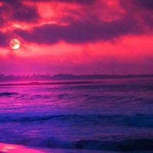 Meet your Posher, Jacqueline